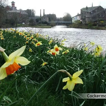 Apartament No5, The Lakes Cockermouth